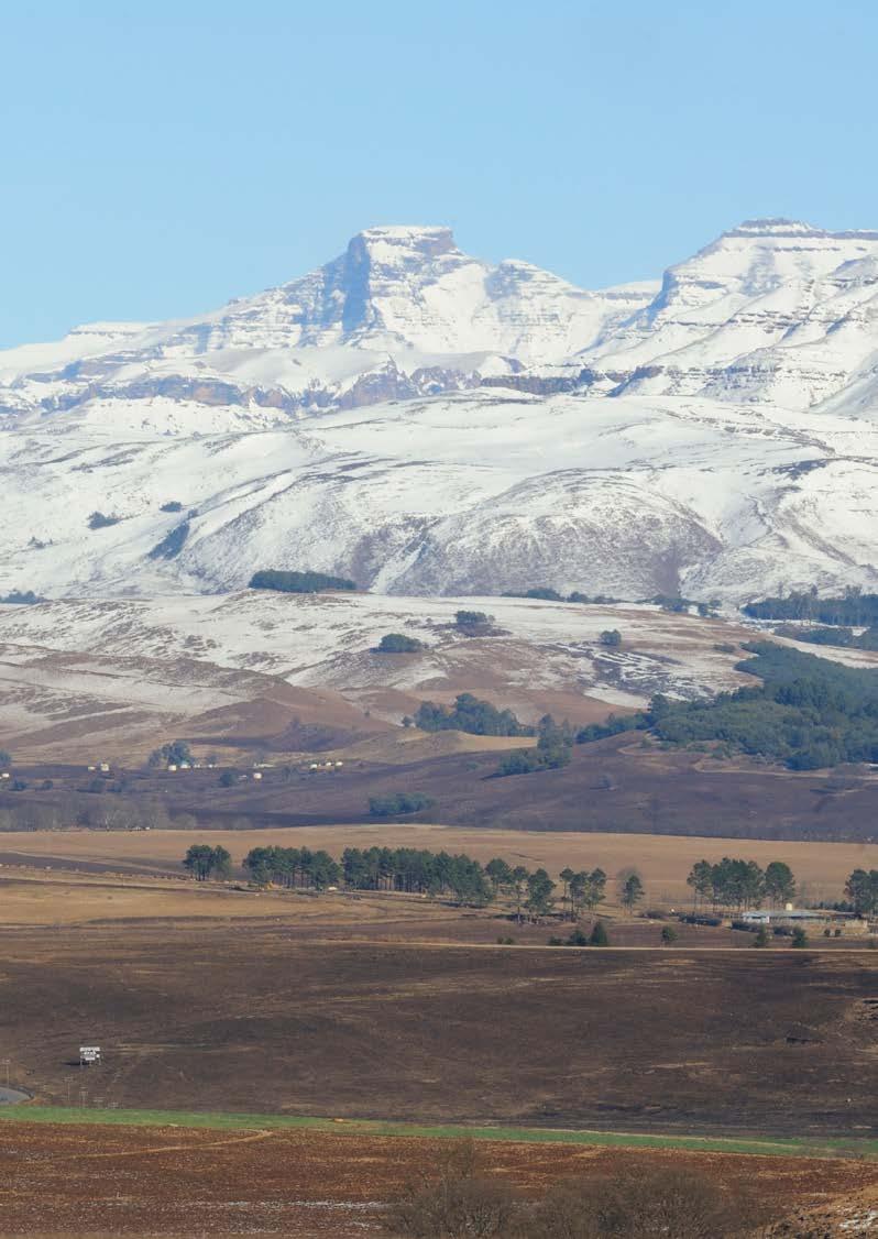 DRAKENSBERG From R2 840 pps* Valid for travel from 21 to 23 July 2017 2 nights at the Cathedral Peak Hotel in a standard room Dinner and breakfast daily Mid-morning and afternoon tea, coffee