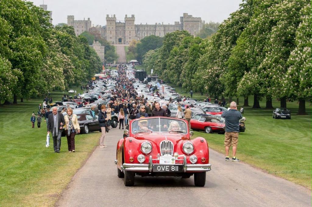 Cool cats: 1,200+ Jaguars gather at Windsor Castle with Maggie and Fred Maggie and Fred? Imagine: More than 1,200 Jaguars lining the Long Walk at Windsor Castle. Except you don t have to imagine.