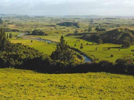 The 10km section begins at The Point in Ngaruawahia, follows the Western bank of the Waikato River and connects with the Hamilton section at Pukete.