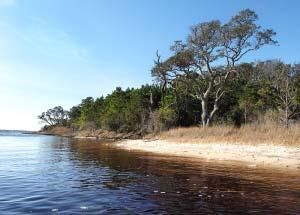 Onslow County recognized for strong support of Hammocks Beach State Park Onslow County, the home of Hammocks Beach State Park, was recognized by the state parks system for its outstanding support of
