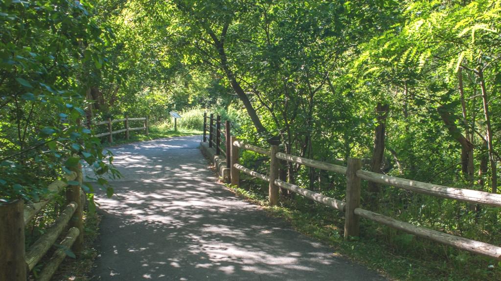 Our Goals for the Chorley Park Trail Connection The City of Toronto, in partnership with the Toronto and Region Conservation Authority (TRCA), is working towards the construction of a new multi-use