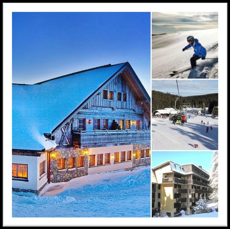 SERVICES SKIING WITH UNILINE Holidays in winter and winter sports are becoming a must-do on a vacation wish list.