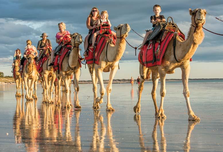Cable Beach Camel Ride, Adelaide s trendy dining precinct and Margaret River. Indian Pacific, Perth, Margaret River & Rottnest Island Complete 7 nights departing 01.07.16 31.03.