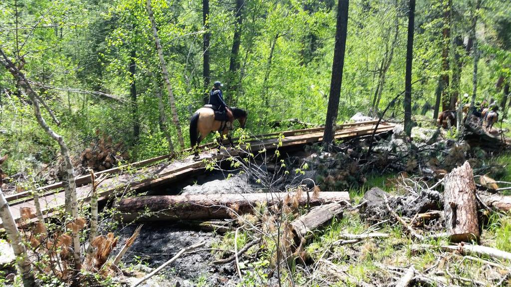 In addition to our organized work weekends, several members worked on their own clearing various sections of trail over the course of the summer.