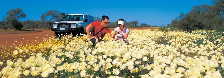 exclusive There s no better way to discover Perth and The West Coast than on a self drive holiday.