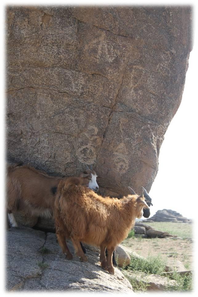 Petroglyphs and pictographs cover a granitic outcrop at a well where herders bring their