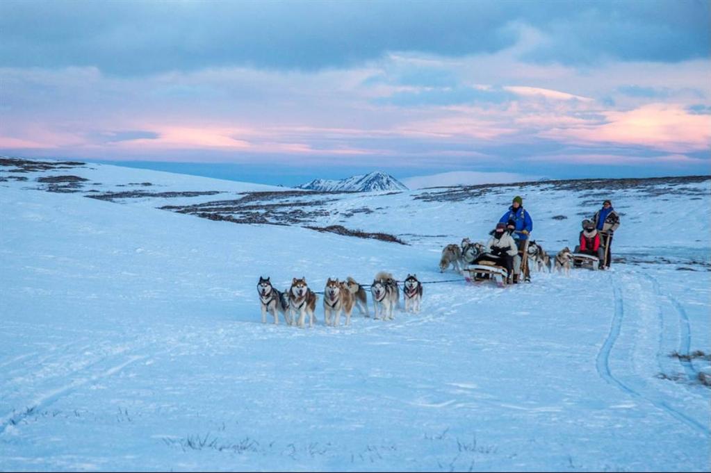Day 3 A choice of Siberian Husky Sledding or Snowmobiling Today you have a choice of Mushing you own Husky Dog Sled or Snowmobiling Option 1: Mushing your own Dog Sled You will be instructed in the