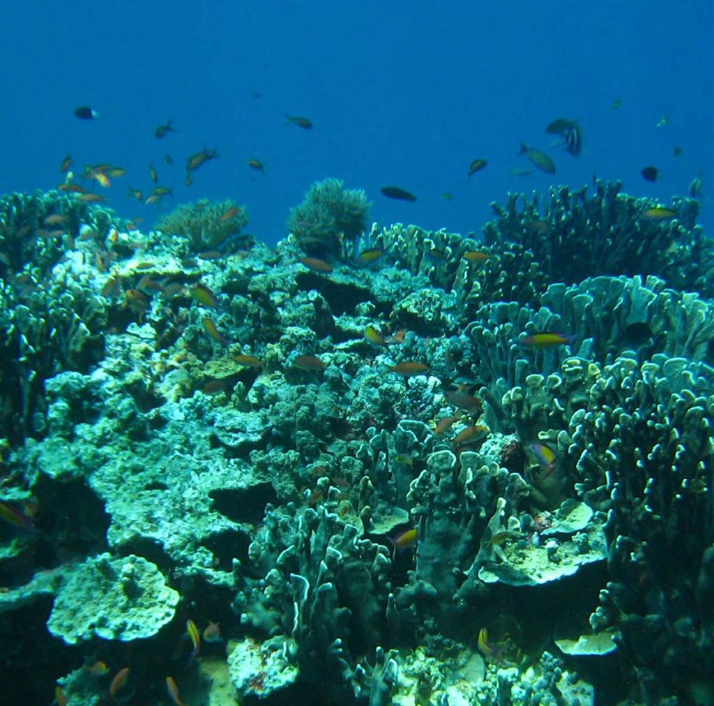 Asia / Pacific Tubbataha Reefs Natural Park (as an