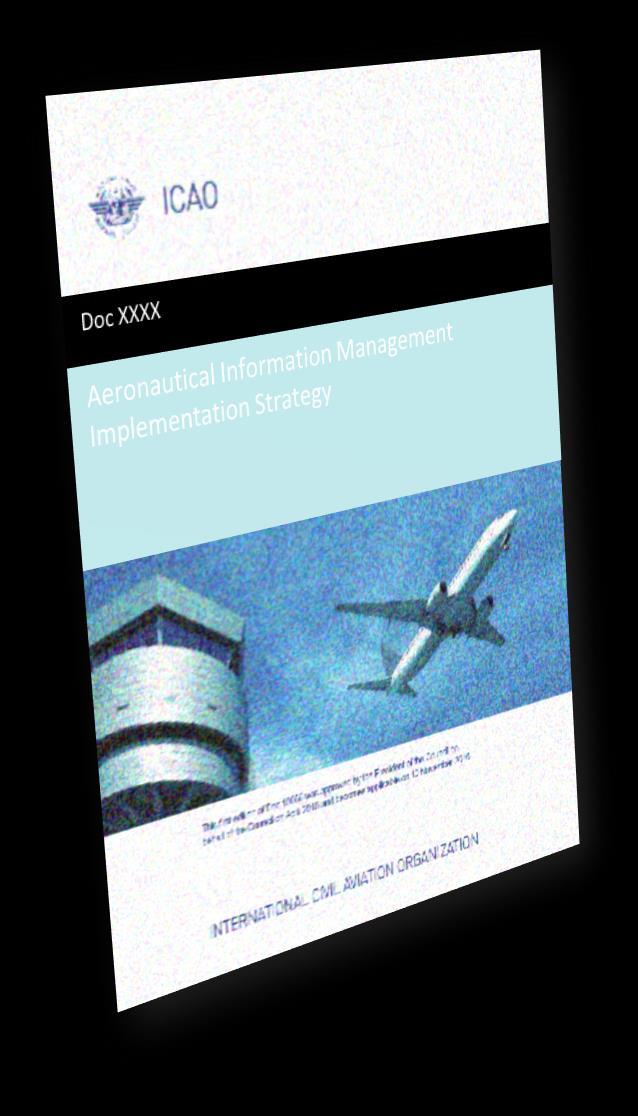AIM Implementation Strategy Introduction Why an AIM implementation Strategy The main objectives A