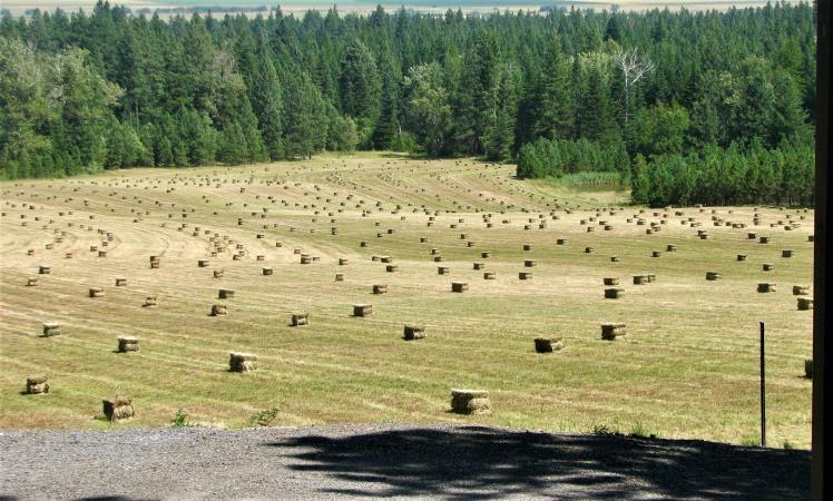Agriculture 15± acres of grass hay, 1.
