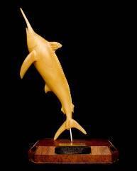 Peter Bennett Trophy Most meritorious tag & release achievement by a GFAA junior in Australian waters.