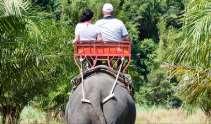 Elephant Trekking Tour (GDPHU07NM) SGD 80/ adult SGD 50/ child - 6 hours Min.
