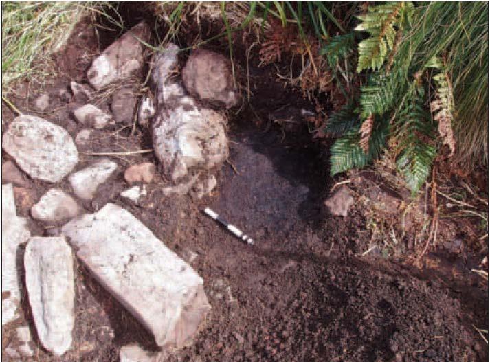 2011 is no longer visible. Probing was carried out to locate the extent of the stone.