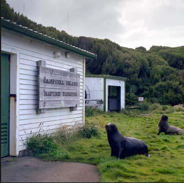 Current Photographs of Area Figure 56: Meteorological buildings (fuel shed, formerly mechanical shed) on Campbell Island (Andy Palmer photograph, accessed from Jock Phillips, 'Subantarctic islands -