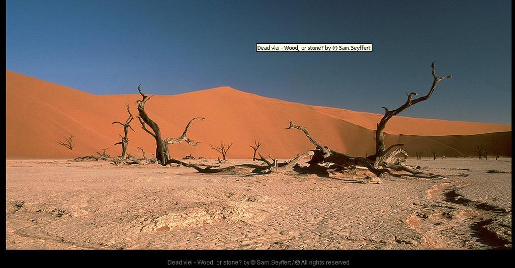Dead Vlei is a white clay pan located near the more famous salt pan of Sossusvlei, inside the Namib-Naukluft Park in Namibia.