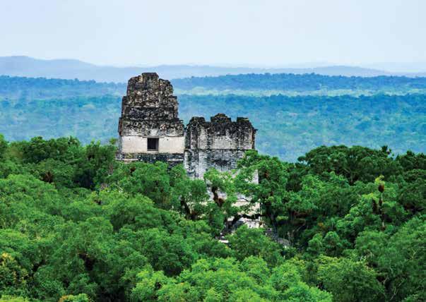 TIKAL, GUATEMALA Trip Information DATES February 15 to 23, 2019 (9 days) SIZE 32 participants (single accommodations limited please call for availability) COST* $8,995 per person, double occupancy