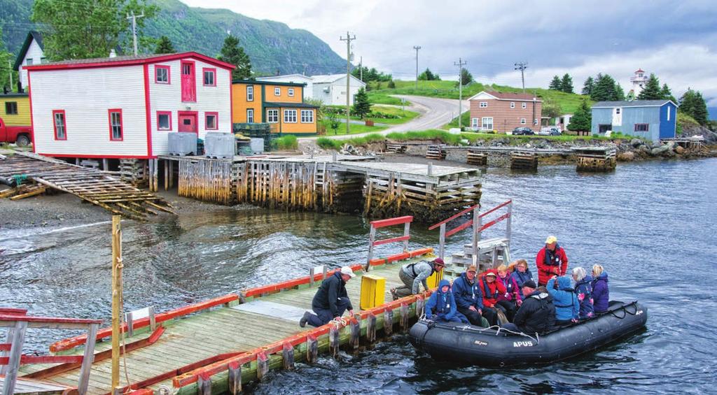 We will visit Red Bay's Basque Whaling Station (a unesco World Heritage Site), learn about the Viking history in North America at L Anse aux Meadows National Historic Site, and enjoy a taste of the