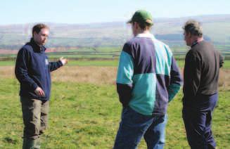 PASTURES FOR PLOVERS 10 The RSPB has been actively working for birds within the North Pennines AONB for many years.