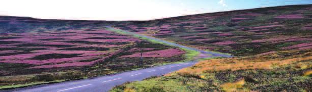 A letter from the Chairman Natural England/Charlie Hedley Dear Readers, Welcome to the Spring and Summer edition of North Pennines News, the magazine which updates you on the activities of the North