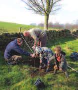 50 TREES FOR 50 YEARS As part of a national initiative to celebrate 50 years of Areas of Outstanding Natural Beauty (AONBs) in England and Wales, the North Pennines AONB Partnership has provided