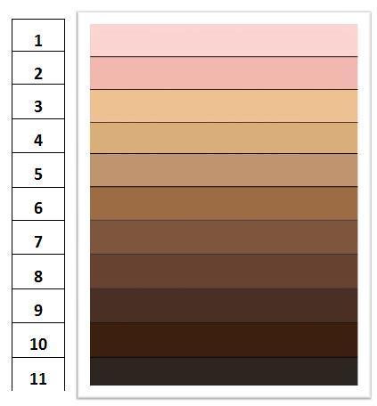 Those with Darker Skin Tones have Lower Levels of Education 11 10.