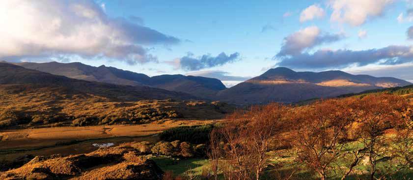SHORT BREAKS 3 to 6-Night Group Tour Killarney KILLARNEY 3-Night Group Tour Day 01: Early morning arrival at Shannon Airport. Travel via Adare to Killarney for dinner and overnight.