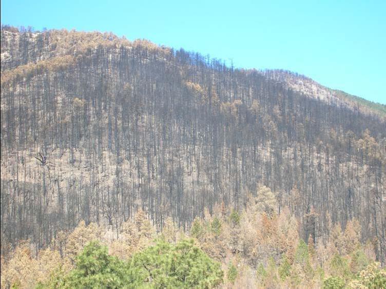 High Severity Burn, Ojo Peak Fire, Torrance County, Fall 2007 Source: Krista Bonfantine,