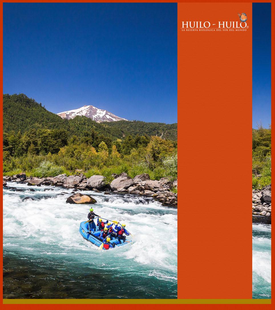Multi-Adventure 4 DAYS Temperate Rain Forest of Northern Patagonia Class III-IV rapids on the Fuy River,