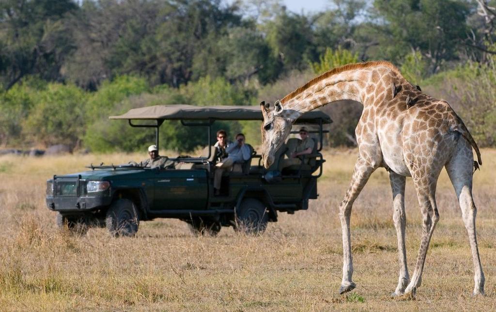 9 ZAFARA CAMP SELINDA RESERVE 4 Nights Zarafa Camp is located in the 300,000 acre Selinda Reserve in northern Botswana and has one of the most spectacular sites of any safari camp.