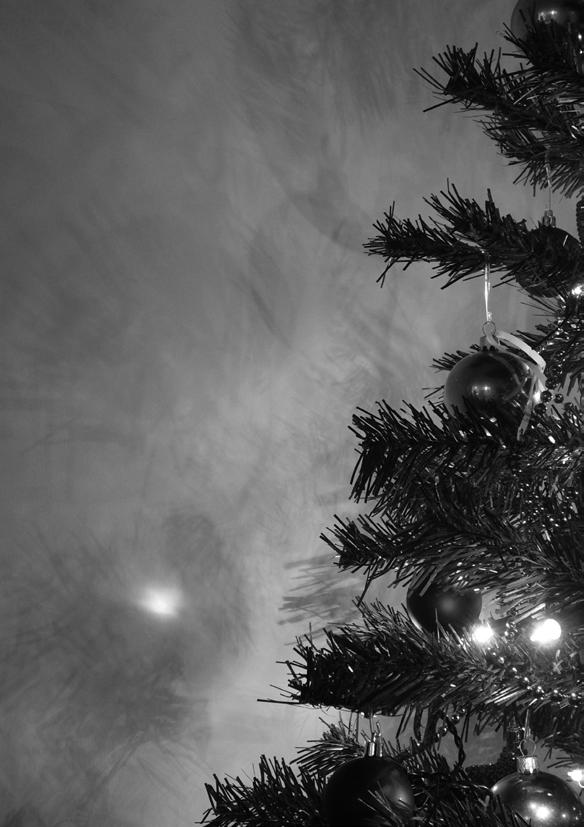 foto: sxc.hu Nestačí len celý dom upratať a vyvoňať, krásne vyzdobiť vianočný stromček a honosne sa obliecť.
