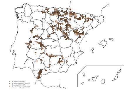 Population status and trends (Spain) No.