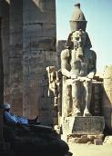 We will visit the Temple of Luxor which sits along the banks of the Nile in the center of town.