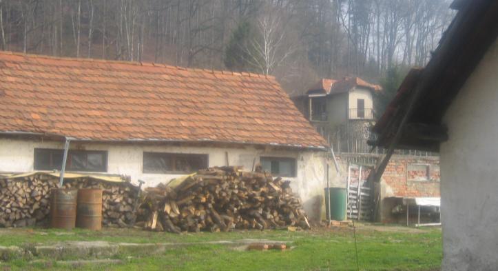 V občini je razvita sodobna kmetijska proizvodnja, pospešeno pa se razvijajo obrt, predelovalne dejavnosti in drugo. Meri 222 km². Po površini se med slovenskimi občinami uvršča na 23.