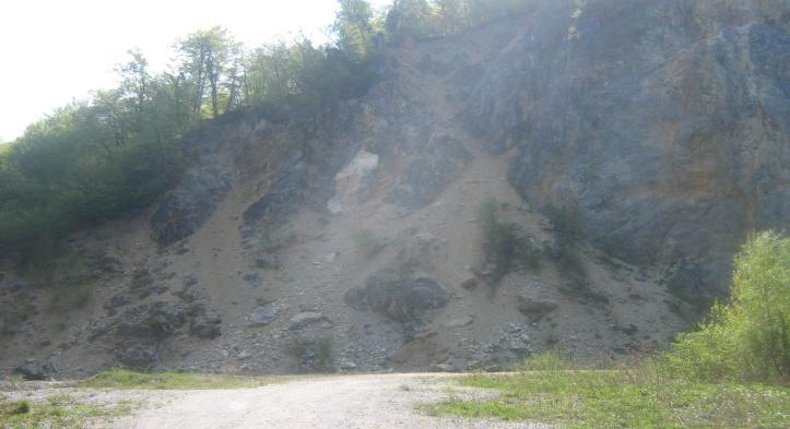Slika 43: DO v občini Šentjur (kamnolom Ţamerk 1 in 2) Območje Bohorja ICE, (lesna industrija), ki po kriterijih spada med industrijska območja. Območje je delno opuščeno z novo dejavnostjo.