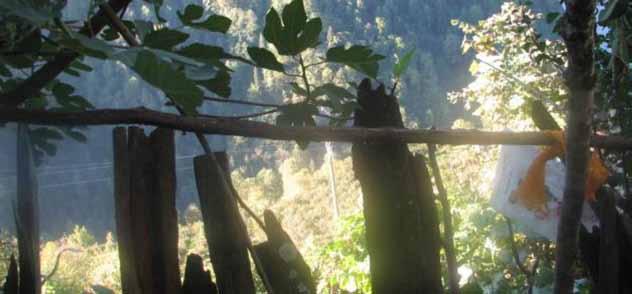 gozdove in vode. Dolina Camili, poznana tudi kot Machakheli, je ekološki in kulturni zaklad, ki se je stoletja skrival v Pontskem gorovju.