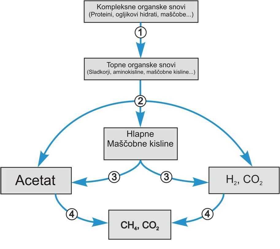 2.3 Anaerobna obdelava industrijskih odpadnih voda 2.3.1 Anaerobni proces Pri anaerobni presnovi gre za razkroj organske materije s strani mikroorganizmov (MO), ki poteka pri odsotnosti kisika in se