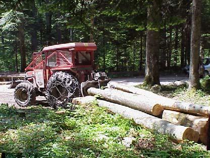 Težavnost dela za njih je prevelika, zato je v takšnih delovnih pogojih smotrna uporaba posebnih, za delo v gozdu prirejenih traktorjev.