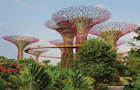 CITY BREAKS EXCLUSIVELY FOR YOU C IT Y B R E A K S SINGAPORE FAMILY FUN 4 Nights INCLUDES 4 nights accommodation in Singapore Buffet breakfast daily Universal Studios Singapore admission Night Safari