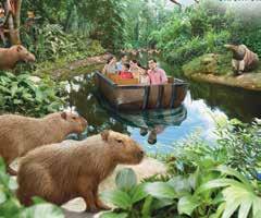 Sightseeing SINGAPORE Sentosa Fun Pass The Sentosa Fun Pass provides access to 20 of Sentosa s top attractions. Choose five attractions out of 20 attractions including the S.E.A. Aquarium, Tiger Sky Tower, 4D Adventureland, Segway Fun Ride, Madame Tussauds, Seabreeze WatersSports, MOSH!