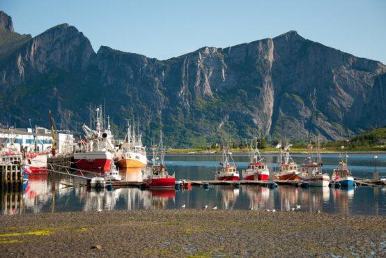 some remote spots in the nearby fjords The creative guides will surprise you by telling some old local stories, showing you some