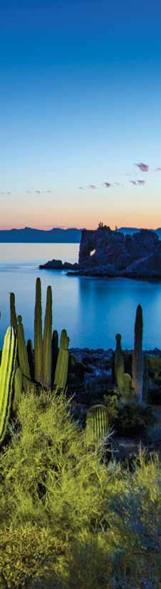 THE MOST COMPREHENSIVE BAJA EXPLORATION Enjoy all the peak experiences of Baja California & the Sea of Cortez over 15 days on an expedition that combines time among the friendly gray whales of the