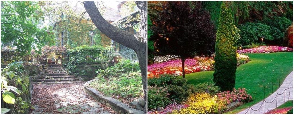 Slika 6. Usporedba neodržavanog (lijevo) i održavanog (desno) vrta (Izvori: http://www.pticica.com, https://medjimurje.