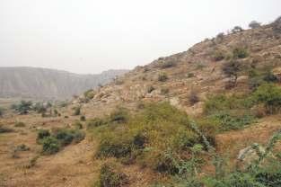 the never ending Aravalli facing views or the amazing landscape of greenery