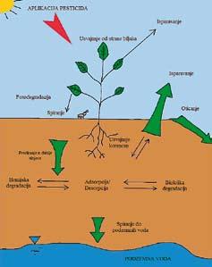 Na razgradnju pesticida u zemljištu utiču tip zemljišta, njegova struktura, sadržaj gline i organske materije, kao i ph zemljišta.