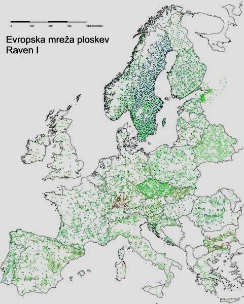 30 Program sestavljajo tri ravni: 1. Prvo raven sestavlja vsakoletni popis zdravstvenega stanja gozdov na vseevropski mreži 16 16 km.