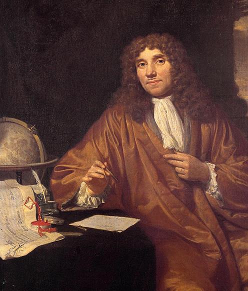 KDO JE BIL ANTONJ VAN LEEUWENHOEK? Antonj Philips van Leeuwenhoek je bil nizozemski trgovec in znanstvenik, rojen 24. oktobra 1632 v Delftu.