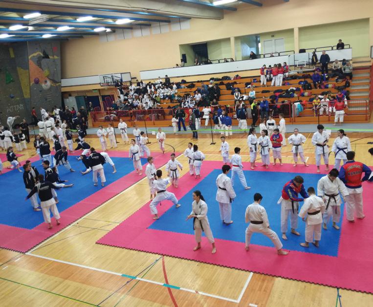 ŠPORT 41. SKIF karate-do turnir za pokal Ruš FOTOGRAFIJE: BK TV Teja Peček V Športni dvorani Ruše se je odvil 41. mednarodni SKIF karate-do turnir za pokal Ruš.
