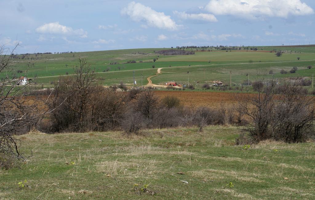 Fig. 8. Landscape in the vicinity of Gorsko Slivovo village (Photo: P. Stefanov) cultivated cereals are: wheat, barley, corn, sunflower and plumbs, cherries, peaches are planted in the gardens.