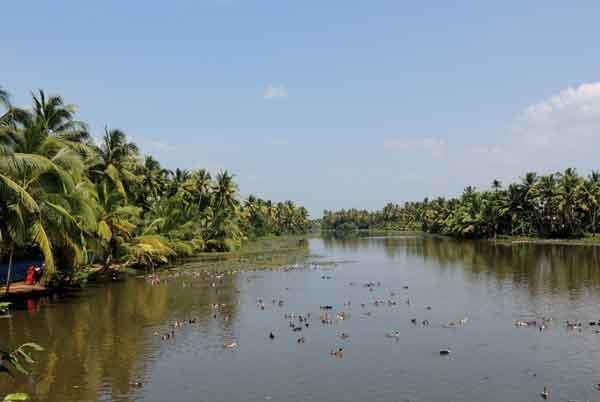 It is a small Island located in the mouth of Cochin backwaters and offers one of the finest natural harbours of the world.