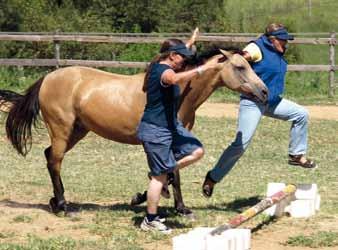 Medicina Učenje s pomočjo konjev (EAL Equine Assisted Learning) je izkustvena metoda, ki s pomočjo konjev omogoča ljudem čustveno rast, samospoznavanje in učenje.